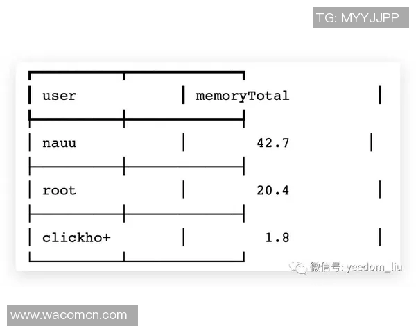 上海排球队的战术运营体系解析与实践探索