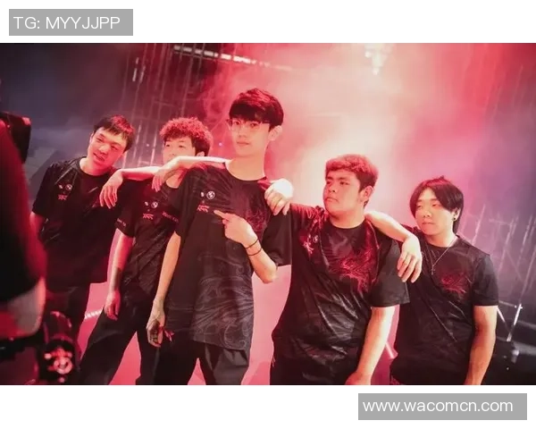 FPX战队灵活性分析：如何在比赛中应对变化与挑战