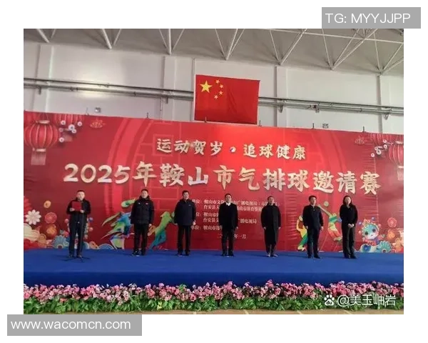 刘娜独家分享排球心得与技巧助你提升球技的全方位指南