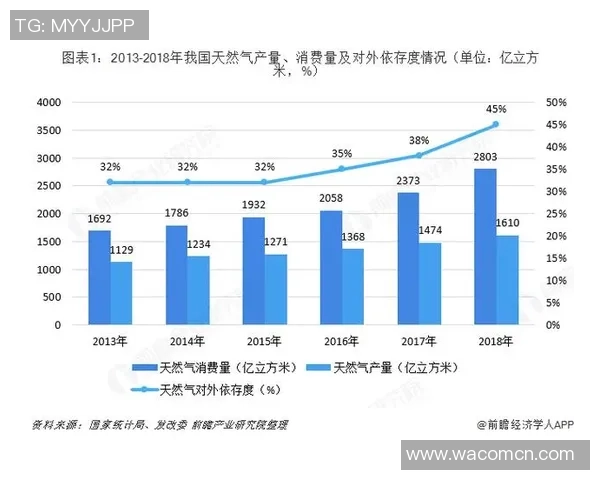 专业分析：液化天然气行业的快速攻势与市场机遇探讨