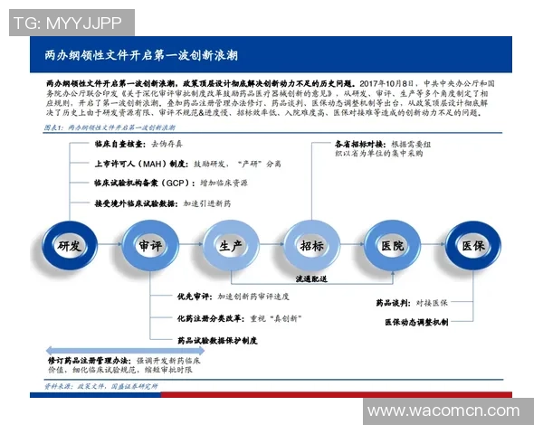 从零基础到滑板高手的全面指南与实用技巧分享