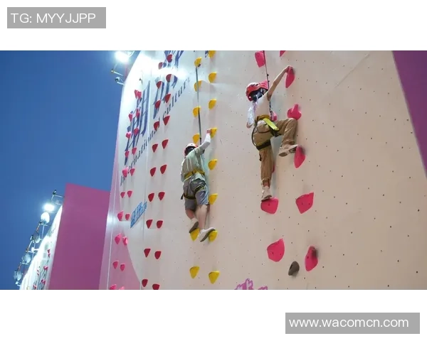 南京攀岩队勇攀高峰马拉松大满贯特别报道见证突破与成长的历程