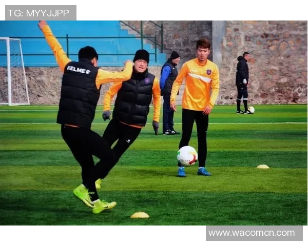 南京网球队战术变革引发热议全新打法助力球队提升竞技水平