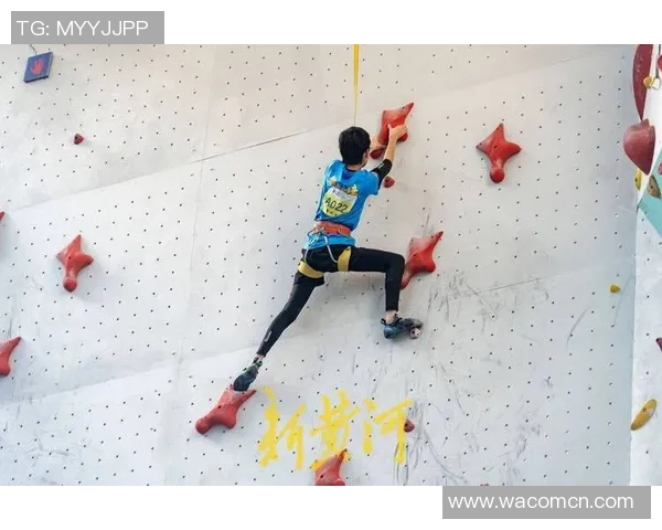 成都攀岩队聚焦速度攀岩挑战赛展现极限运动魅力与团队精神