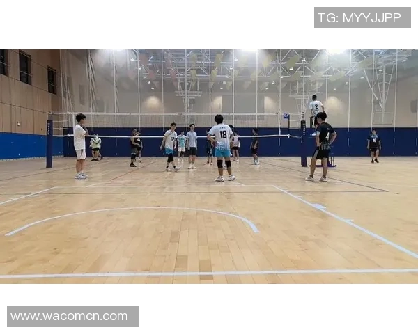 成都排球队在锦标赛中的强势表现与未来展望分析