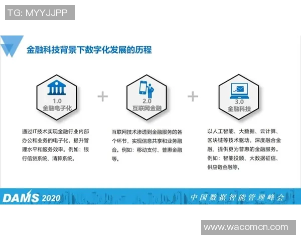 探索V5数据分析的灵活性与应用潜力的深度解析