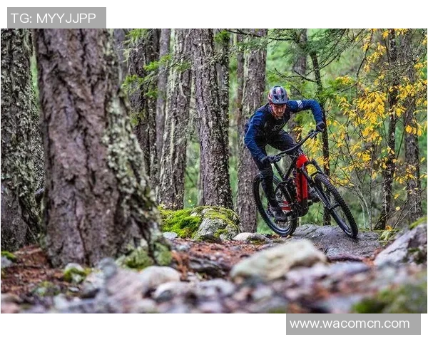 武汉极限运动队协作研究与配合策略探讨助力运动表现提升 武汉极限运动队协作研究与配合策略探讨助力运动表现提升