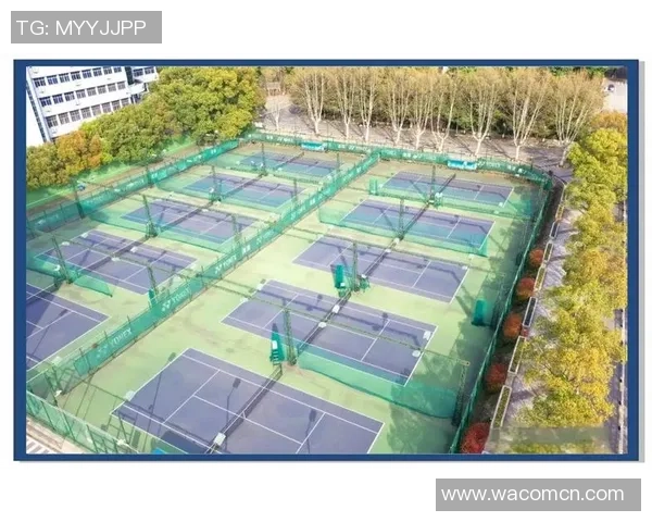 武汉网球队的转型之路：深度解析网球运动的未来发展与挑战