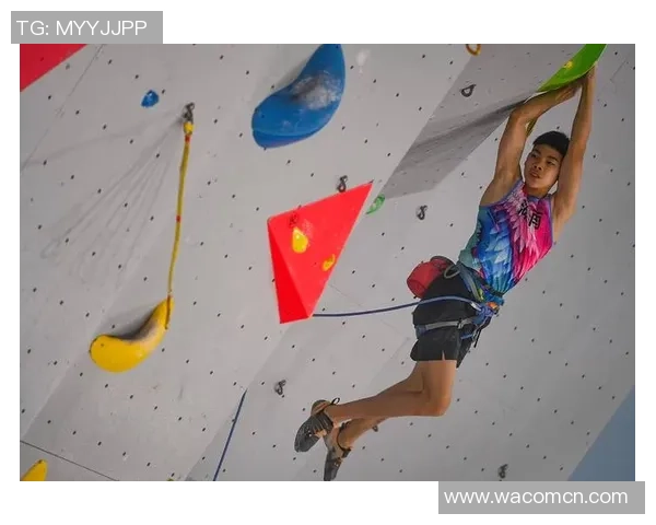 南京攀岩队进攻体系解析与战术创新探索之攀岩战术研究