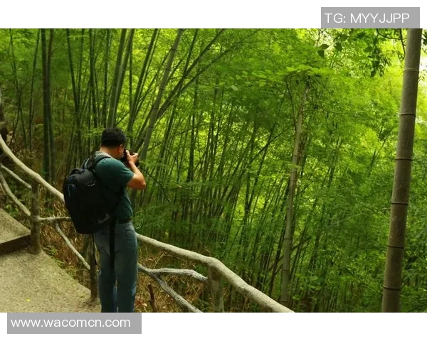 对话滑板高手周磊探讨他的职业生涯与未来发展方向